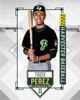 Troy Perez copy